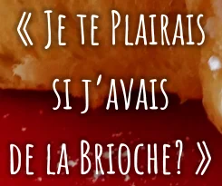 « Je te Plairais si j’avais de la Brioche? »