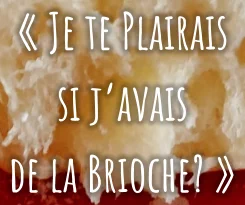 « Je te Plairais si j’avais de la Brioche? »